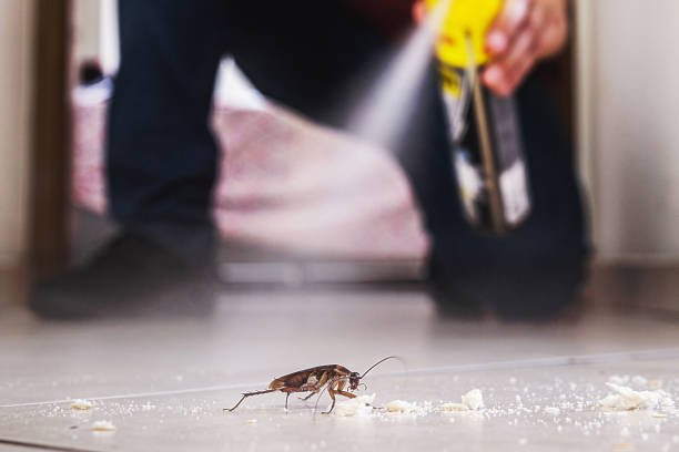 Hewitt, NJ Pest Control Company